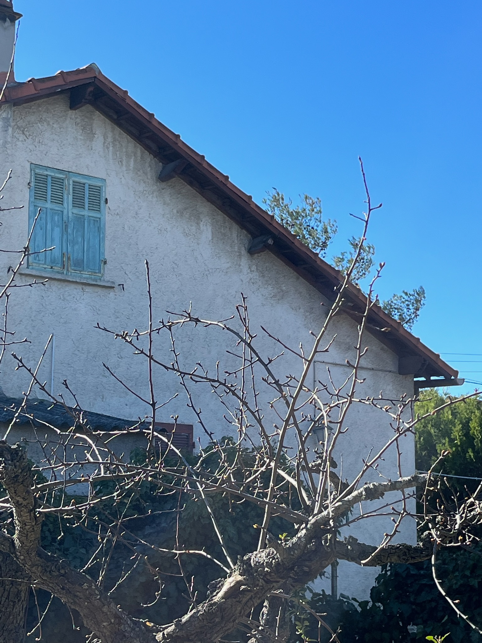 Chantier Yessayan - Photo 42